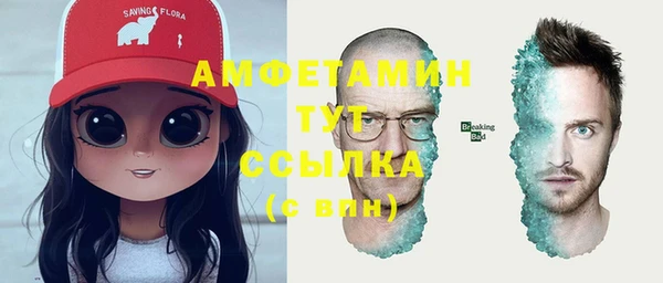 стаф Вязьма